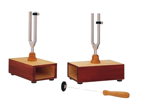 TUNING FORK MOUNTED